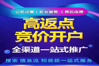 专业SEM托管助力企业快速成长案例分析